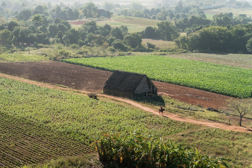 African smallholder farmers