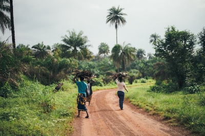 Africa’s Green Future