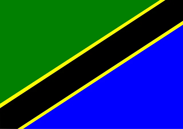 Thought Leadership Africa Analysis Tanzania