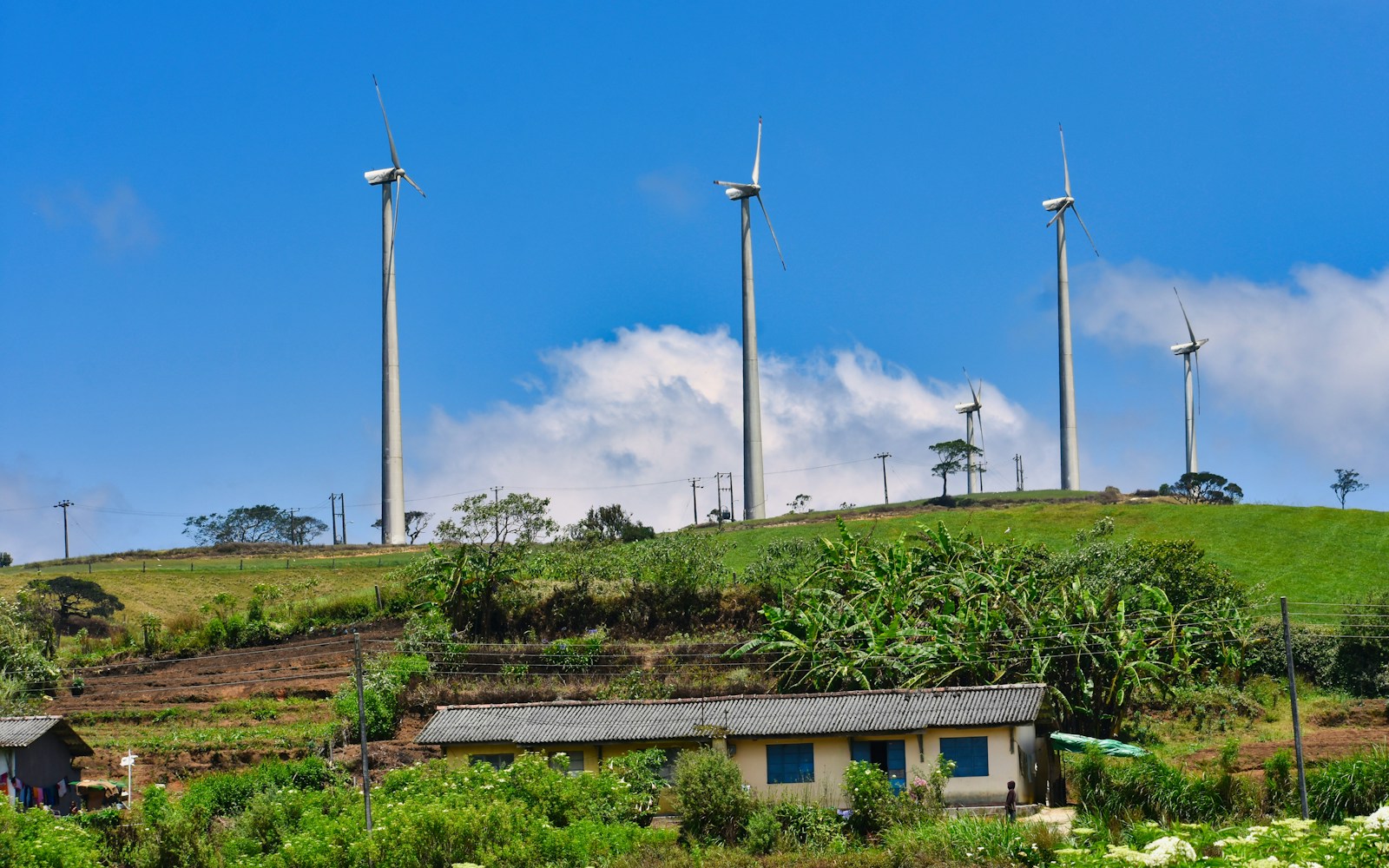 green technology in Africa: 5 Shocking Facts with Positive Impact